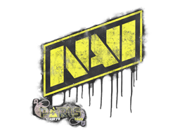 Sealed Graffiti | Natus Vincere | Paris 2023 | Default