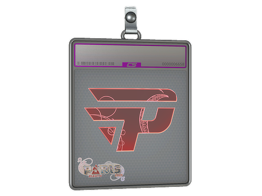 paiN Gaming - CS2 Sticker