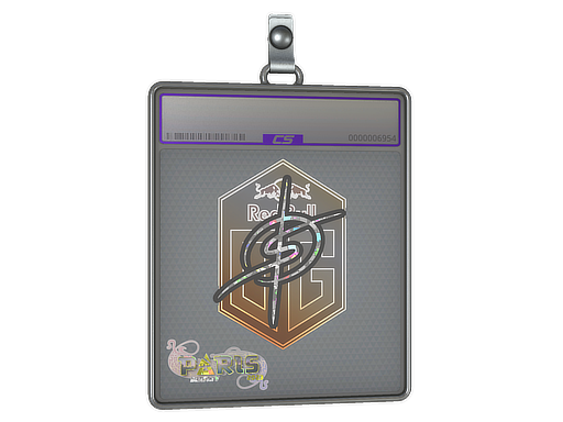 degster - CS2 Sticker