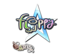 CS2 floppy