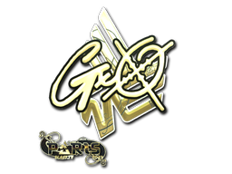 CS2 gxx-