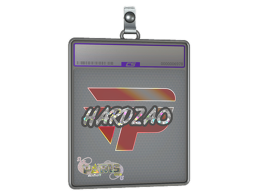 hardzao - CS2 Sticker