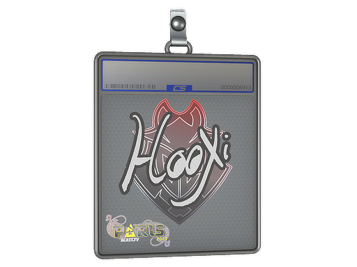 HooXi - CS2 Sticker