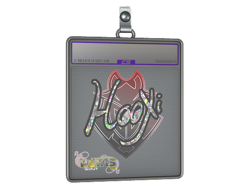 HooXi - CS2 Sticker