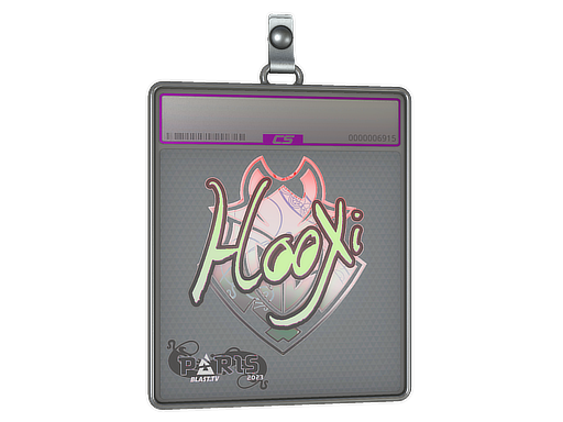 HooXi - CS2 Sticker