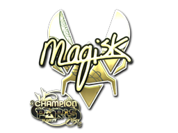 CS2 Magisk
