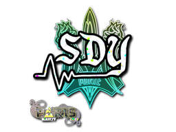 CS2 sdy