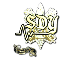 CS2 sdy