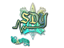 CS2 sdy