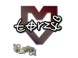 CS2 torzsi