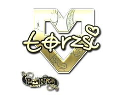 CS2 torzsi