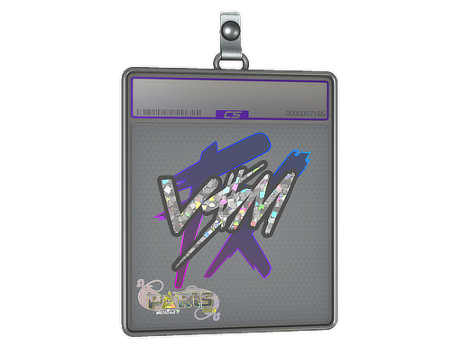 v$m - CS2 Sticker