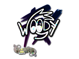 CS2 WOOD7