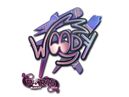 CS2 WOOD7