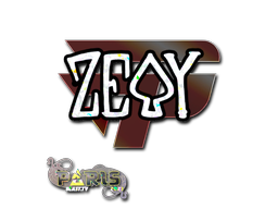 CS2 zevy