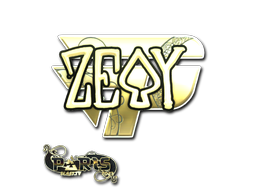 CS2 zevy