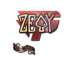CS2 zevy
