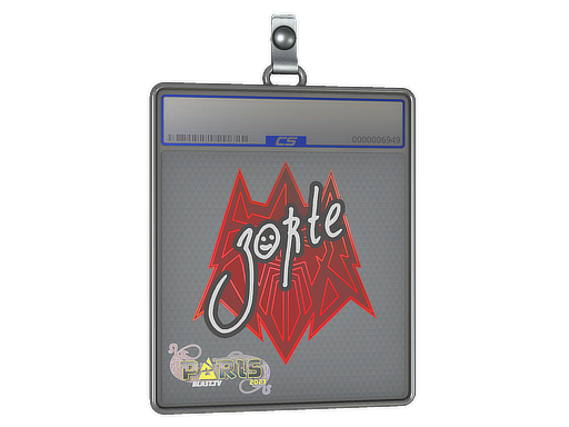 zorte - CS2 Sticker