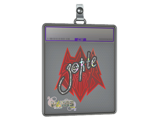 zorte - CS2 Sticker