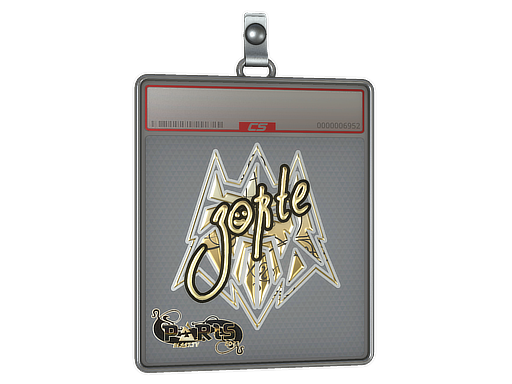 zorte - CS2 Sticker