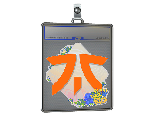  Fnatic  - CS2 Sticker