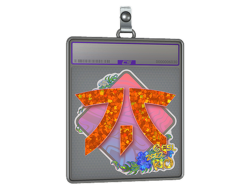  Fnatic  - CS2 Sticker