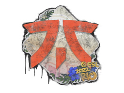 Sealed Graffiti | Fnatic | Rio 2022 | Default