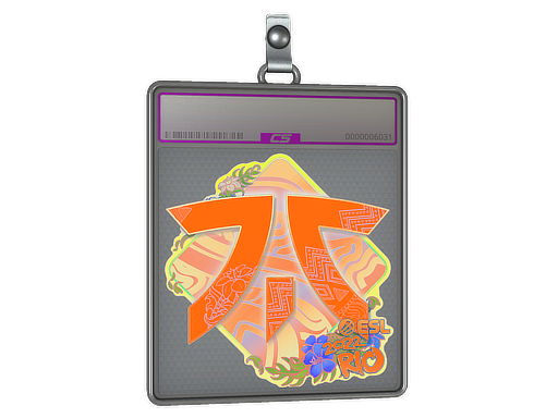  Fnatic  - CS2 Sticker