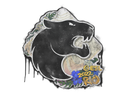 Sealed Graffiti | FURIA | Rio 2022 | Default