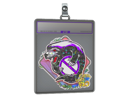 Outsiders - CS2 Sticker