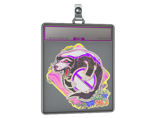 Outsiders - CS2 Sticker