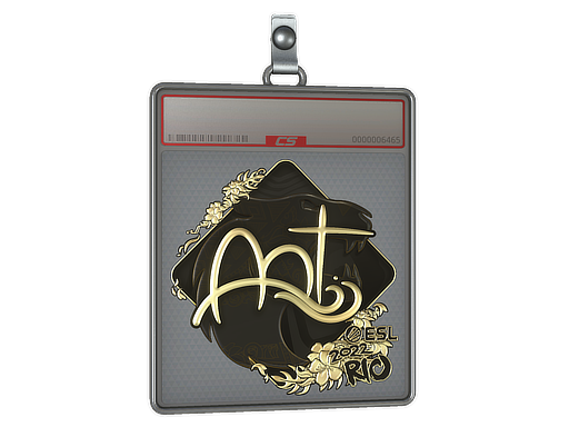 arT - CS2 Sticker