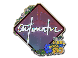 CS2 autimatic