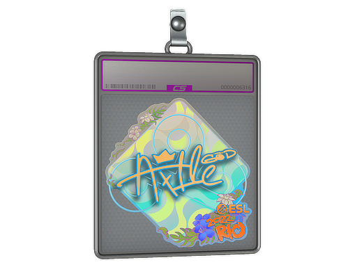 Sticker Slab | Ax1Le | Rio 2022