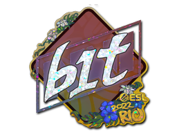 CS2 b1t