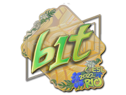 CS2 b1t