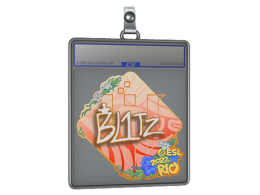 bLitz - CS2 Sticker