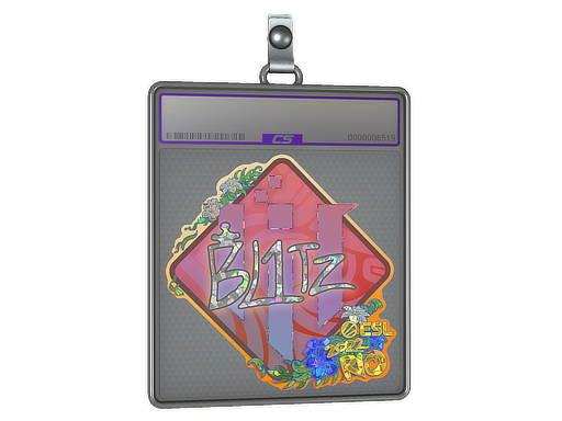bLitz - CS2 Sticker