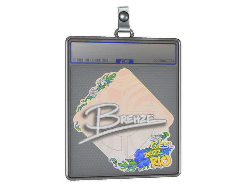 Brehze - CS2 Sticker