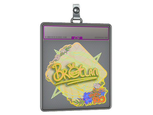 Sticker Slab | Brollan | Rio 2022