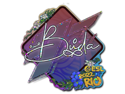 CS2 BUDA