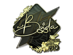 CS2 BUDA