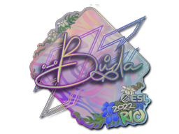 CS2 BUDA