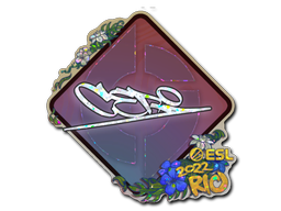 CS2 CeRq