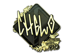 CS2 chelo