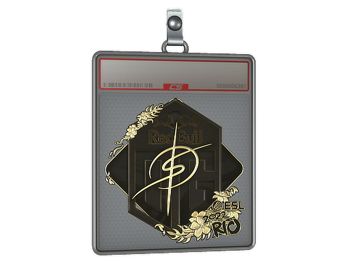 degster - CS2 Sticker