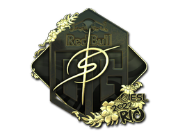 CS2 degster