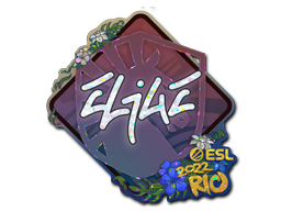 CS2 EliGE