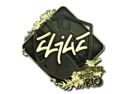 CS2 EliGE