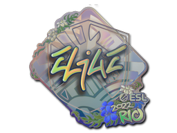 CS2 EliGE